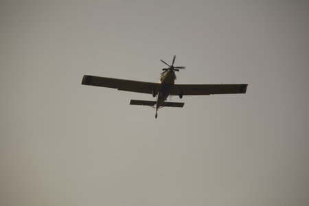 Aircraft puts out a forest fire