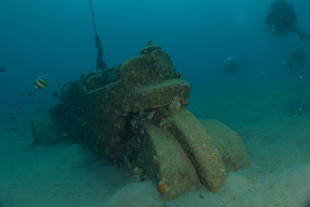 Cargo ship wreck on the seabed in the Red Seaの写真素材