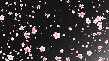 Nice Sakura Blossom Isolated Vector. Tender Blowing 3d Petals Wedding Texture. Japanese Gradient Flowers Wallpaper. Valentine, Mother's Day Pastel Nice Sakura Blossom Isolated on Blackのイラスト素材