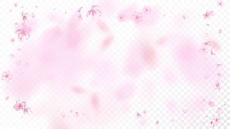 Nice Sakura Blossom Isolated Vector. Magic Blowing 3d Petals Wedding Texture. Japanese Bokeh Flowers Illustration. Valentine, Mother's Day Realistic Nice Sakura Blossom Isolated on Whiteのイラスト素材