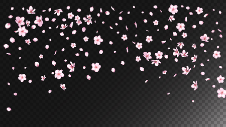 Nice Sakura Blossom Isolated Vector. Feminine Falling 3d Petals Wedding Design. Japanese Beauty Spa Flowers Illustration. Valentine, Mother's Day Tender Nice Sakura Blossom Isolated on Blackのイラスト素材