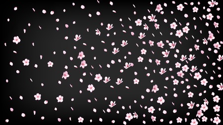 Nice Sakura Blossom Isolated Vector. Realistic Falling 3d Petals Wedding Pattern. Japanese Nature Flowers Wallpaper. Valentine, Mother's Day Beautiful Nice Sakura Blossom Isolated on Blackのイラスト素材