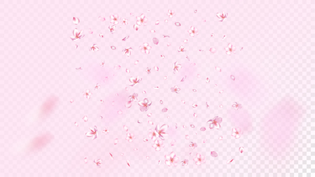 Nice Sakura Blossom Isolated Vector. Feminine Blowing 3d Petals Wedding Border. Japanese Bokeh Flowers Illustration. Valentine, Mother's Day Magic Nice Sakura Blossom Isolated on Roseのイラスト素材