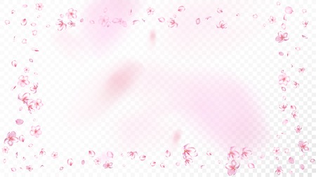 Nice Sakura Blossom Isolated Vector. Summer Showering 3d Petals Wedding Frame. Japanese Blooming Flowers Wallpaper. Valentine, Mother's Day Realistic Nice Sakura Blossom Isolated on Whiteのイラスト素材