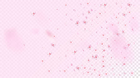 Nice Sakura Blossom Isolated Vector. Beautiful Blowing 3d Petals Wedding Pattern. Japanese Nature Flowers Illustration. Valentine, Mother's Day Watercolor Nice Sakura Blossom Isolated on Roseのイラスト素材