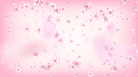 Nice Sakura Blossom Isolated Vector. Pastel Showering 3d Petals Wedding Texture. Japanese Oriental Flowers Illustration. Valentine, Mother's Day Watercolor Nice Sakura Blossom Isolated on Roseのイラスト素材