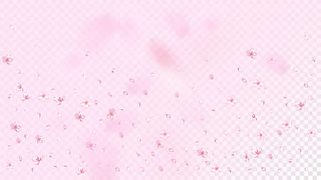 Nice Sakura Blossom Isolated Vector. Magic Blowing 3d Petals Wedding Design. Japanese Blurred Flowers Illustration. Valentine, Mother's Day Spring Nice Sakura Blossom Isolated on Roseのイラスト素材