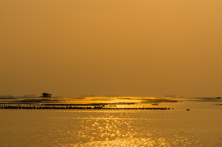 The atmosphere during sunset In the area of aquaculture in the seaの写真素材