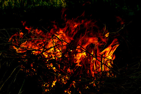 Flames of fireの写真素材