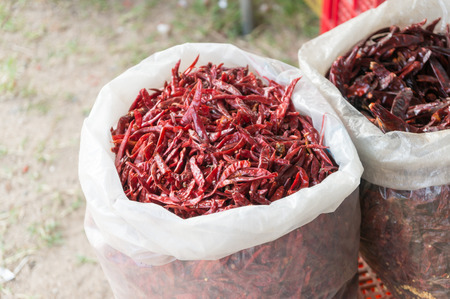 stall of chilli at the marketの写真素材