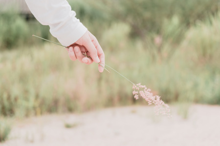 The hand of the young girl with flower in nature backgroundの写真素材