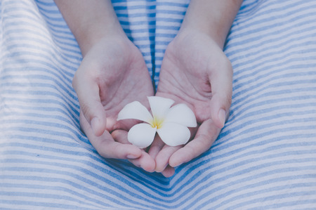 Plumeria white hands of a young girl, Pastel Colorの写真素材