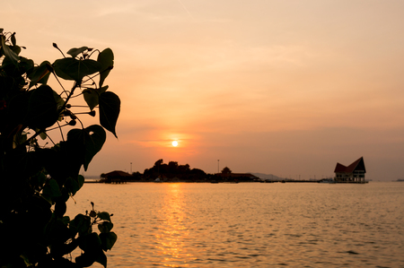 silhouette of tree, The atmosphere during sunset at Koh Loi Sriracha,Chonburi,Thailandの写真素材