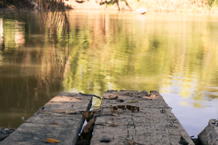 Filed wooden bridge into the water.の写真素材