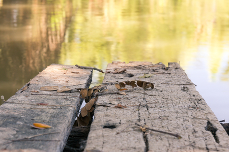 Filed wooden bridge into the water.の写真素材