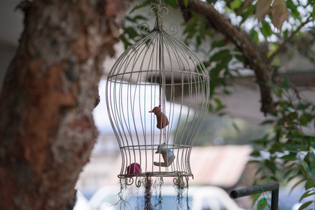 Bird statue in a bird cage in the garden.の写真素材