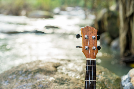 Ukulele  on the rock near waterfall in the forest