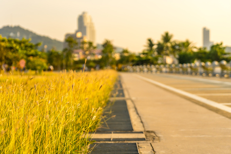 Road pathway in the park for relaxing walking jogging and exercise at  Surasak Montri Public Park Sriracha , Chonburi, Thailand.の写真素材