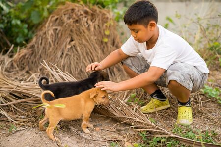 Kid boy playing with stray puppiesの写真素材