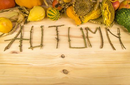 The word autumn written out of tree twigs on a wooden background, with the results of the harvest like, pumpkins, corn, wheat and sunflower.の写真素材