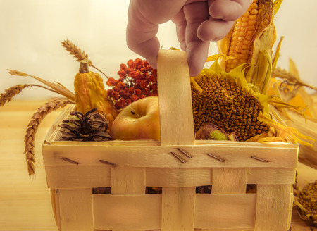 Farmers hand holding a basket with seasonal products - Man's hand holding a wooden basket full with autumnal products, agricultural and forest also.の写真素材