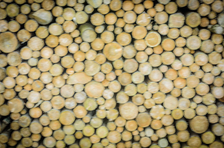 Tree logs blurry background - Wooden abstract background with a stack of round firewoods prepared...