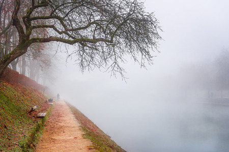 Representative image for a cold autumn day, with empty trees and fallen leaves, an alley along the Ljubljanica river, all surrounded by fog.の写真素材