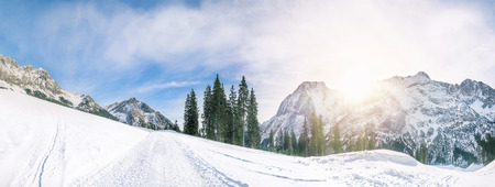 Stunning winter panorama with the peaks of the Austrian Alps mountains, the evergreen fir forests and an alpine road, all covered in snow, in Ehrwald, Austria.の写真素材