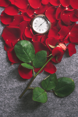 Retro style image with a rose with one petal on its stem and an old pocket watch surrounded by red rose petals, on a grey fabric background.の写真素材