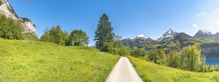 Alpine alley crossing green meadows, in the Alps mountains, on a sunny day of spring, in the canton of St. Gallen, Switzerland, above Lake Walensee.の写真素材