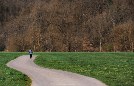 Autumn forest, a green meadow and an alley perfect for running or walking outdoors, in nature, in...