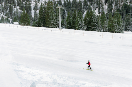 Minimal style winter landscape with ski slope full of snow, surrounded by snowy fir trees, and a single skier, in Ehrwald, Austria.の写真素材