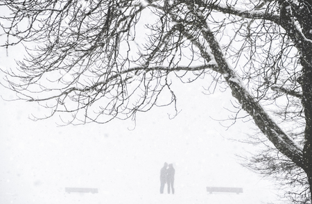 Harsh winter scenery with the silhouette of two people in a park while snowfall and blizzard, framed by a big leafless tree, in February, in Germany.の写真素材