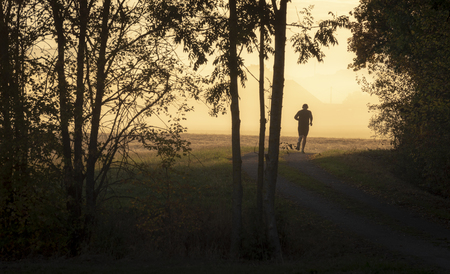 SIlhouette of a man running on an alley alongside the forest in a foggy morning at sunriseの写真素材