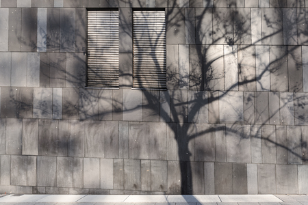Shadow of a big tree on the exterior wall of a modern business building, in the morning light, in Stuttgart city, Germany. Urbanism issues concept.の写真素材