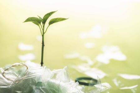 Plastic waste and the environment concept with a green plant growing from a pile of plastic garbage, on a green background. Recycling plastic concept.の写真素材