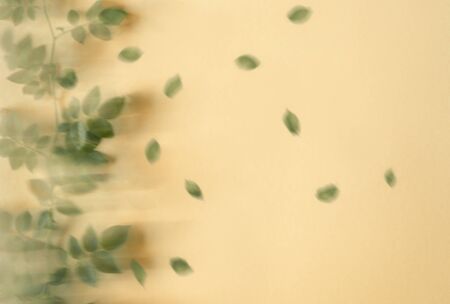 Autumn background. Fallen leaves concept. Wind blow on tree branch and leaves falling on a yellow background. Above view. Selective focus. Motion blurの写真素材