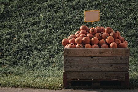 Pumpkins market with a pile of squashes in a wooden crate. Small orange colored pumpkins for sale. Seasonal productsの写真素材
