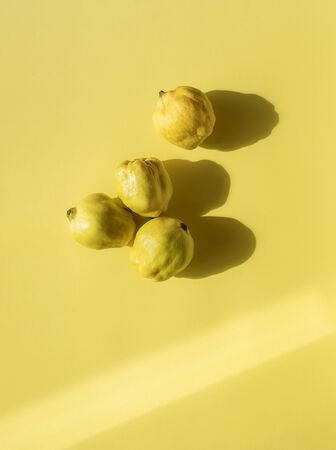 Fresh quince fruits on yellow paper background. Above view of four quinces in natural light. ...