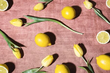 Fresh lemons and yellow tulips on a retro tablecloth in sunlight. Yellow fruits and flower pattern background. Image of citrus fruits and tulips.の写真素材