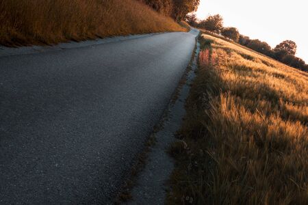 Golden hour landscape with an alley passing through agricultural fields in South Germany. Dutch angle photography technique. Golden hour sunsetの写真素材