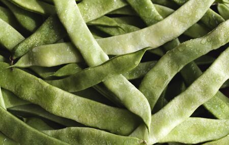 Close-up with fresh green beans sprinkled with water. Green beans pile top view. Organic vegetables