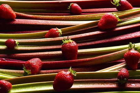 Rhubarb stalks and strawberries sprinkled with water. Aromatic fruits and vegetables. Rhubarb-strawberry backgroundの写真素材