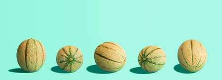 Cantaloupe melons collection, creative layout, isolated on a mint green seamless background. Melons...