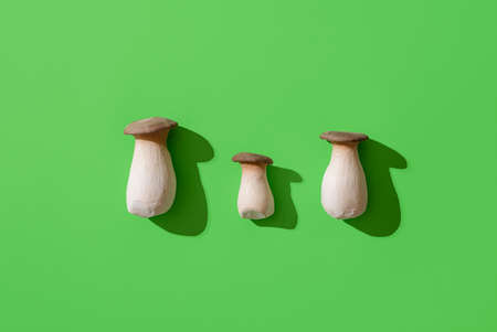 Boletus mushrooms, aligned, isolated on a colored background. Flat lay, edible forest mushrooms in bright light. Porcini mushroom on a green table.の写真素材