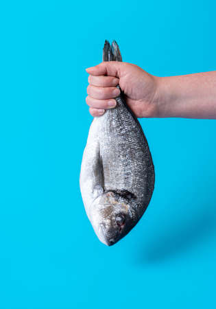 Woman's hand holding a raw dorado fish against a blue colored background. Holding fish from the tail with one handの写真素材