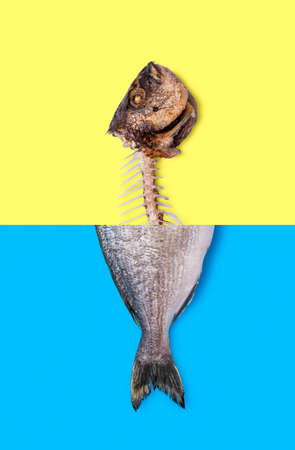 Top view with half of a raw fish and half fish skeleton, isolated on a bicolored background. Dorado...