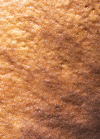 Wild mushroom boletus macro details from above. Brown surface from the mushroom head.の写真素材