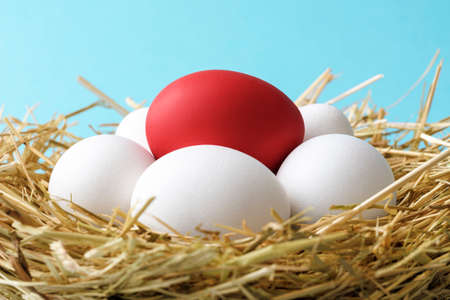 Close-up of chicken eggs in a nest made out of straws. Single red easter egg which lays over several white eggs.の写真素材