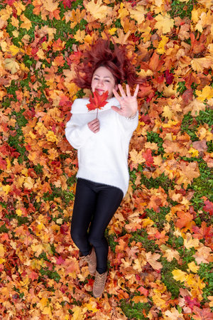 Above view with a young woman lying on the ground covered in autumn leaves, on a sunny day of Octoberの写真素材